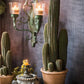 Columnar Cactus | Medium