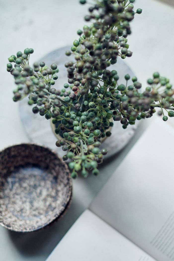 Potted Berry Bush