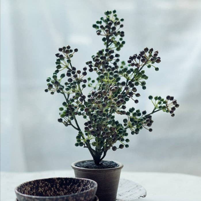 Potted Berry Bush